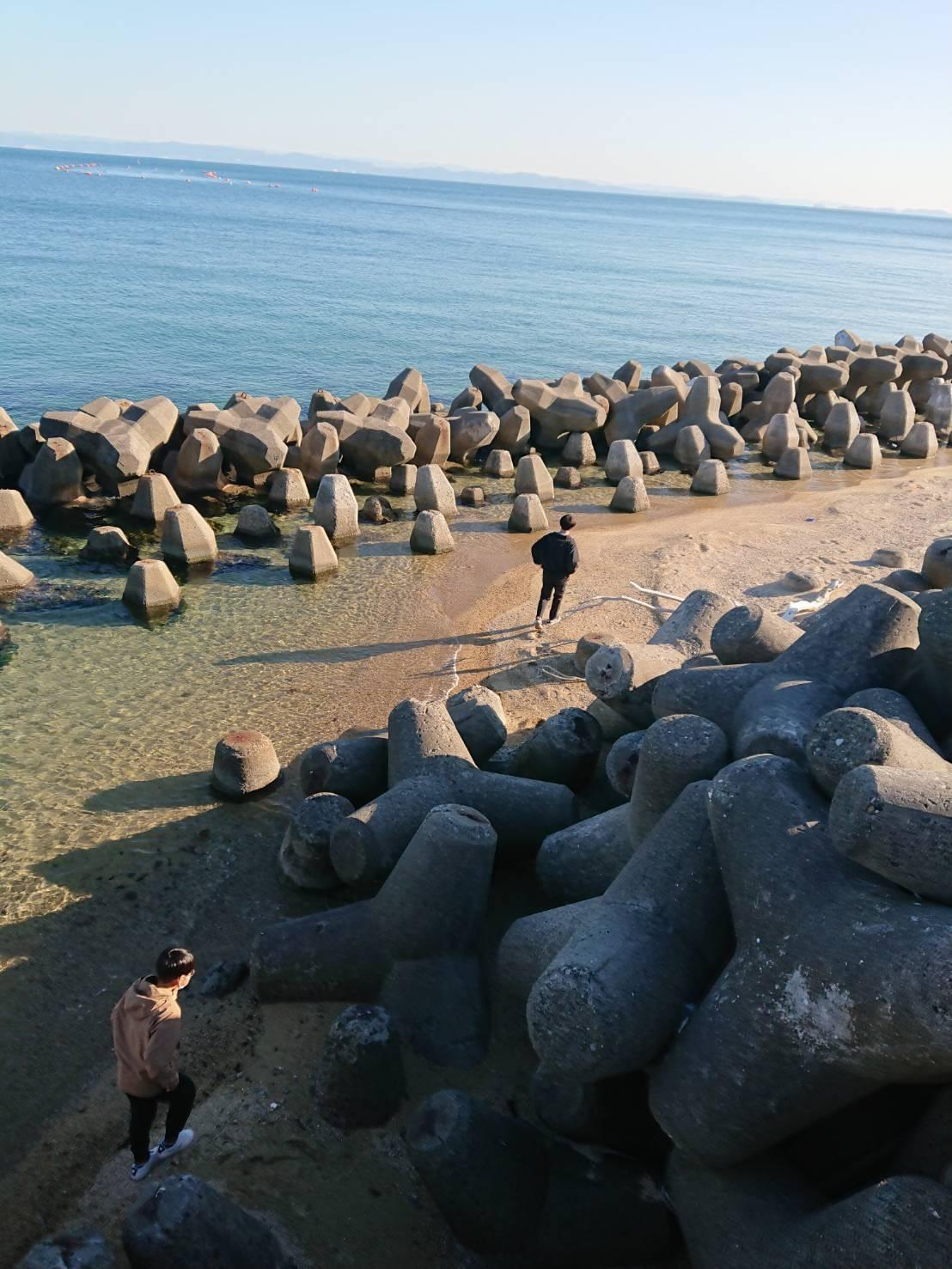海