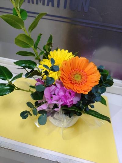 生け花の先生がお花を生けてくださいました